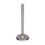 Intake Valve