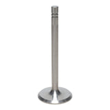 Intake Valve