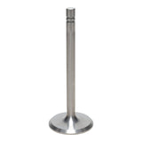 Intake Valve