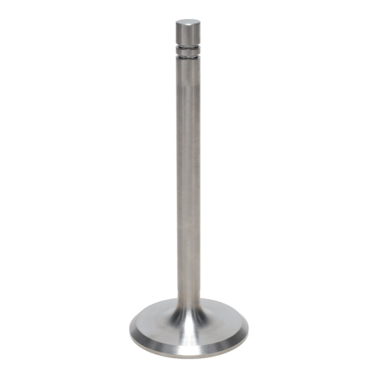 Intake Valve