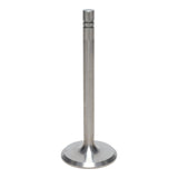 Intake Valve