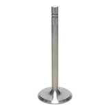 Intake Valve
