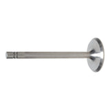 Intake Valve