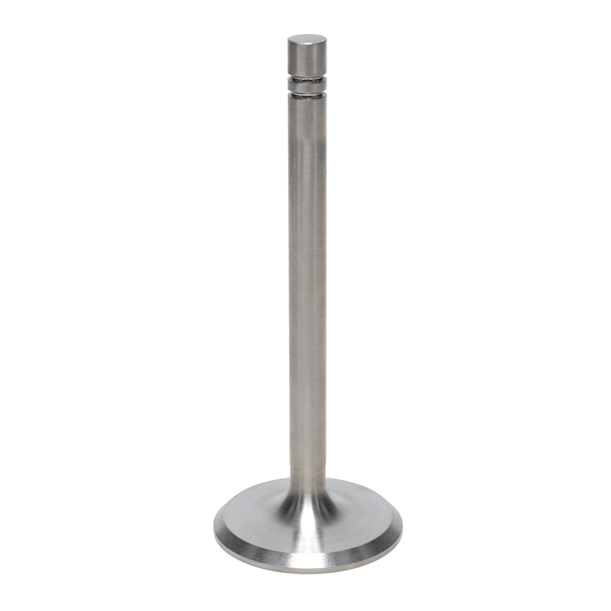 Intake Valve