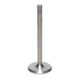 Intake Valve