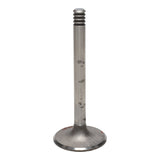 Intake Valve