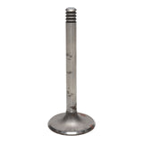 Intake Valve