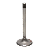 Intake Valve