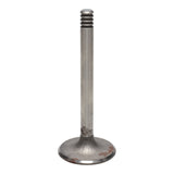Intake Valve