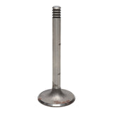 Intake Valve