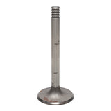 Intake Valve
