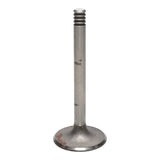 Intake Valve