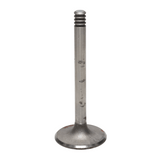 Intake Valve