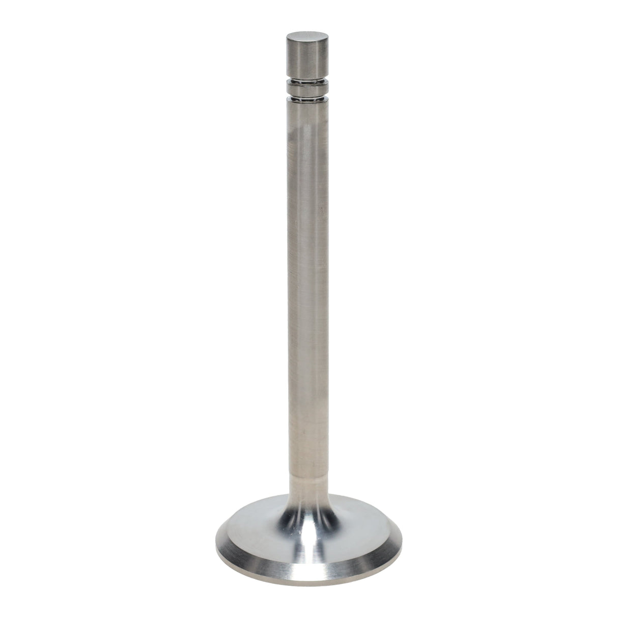 Intake Valve