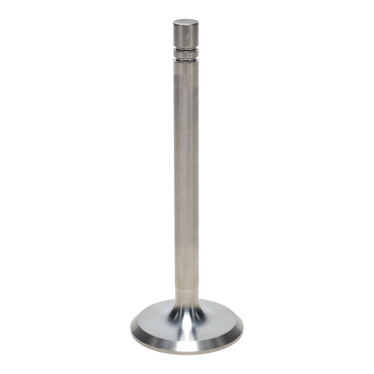 Intake Valve