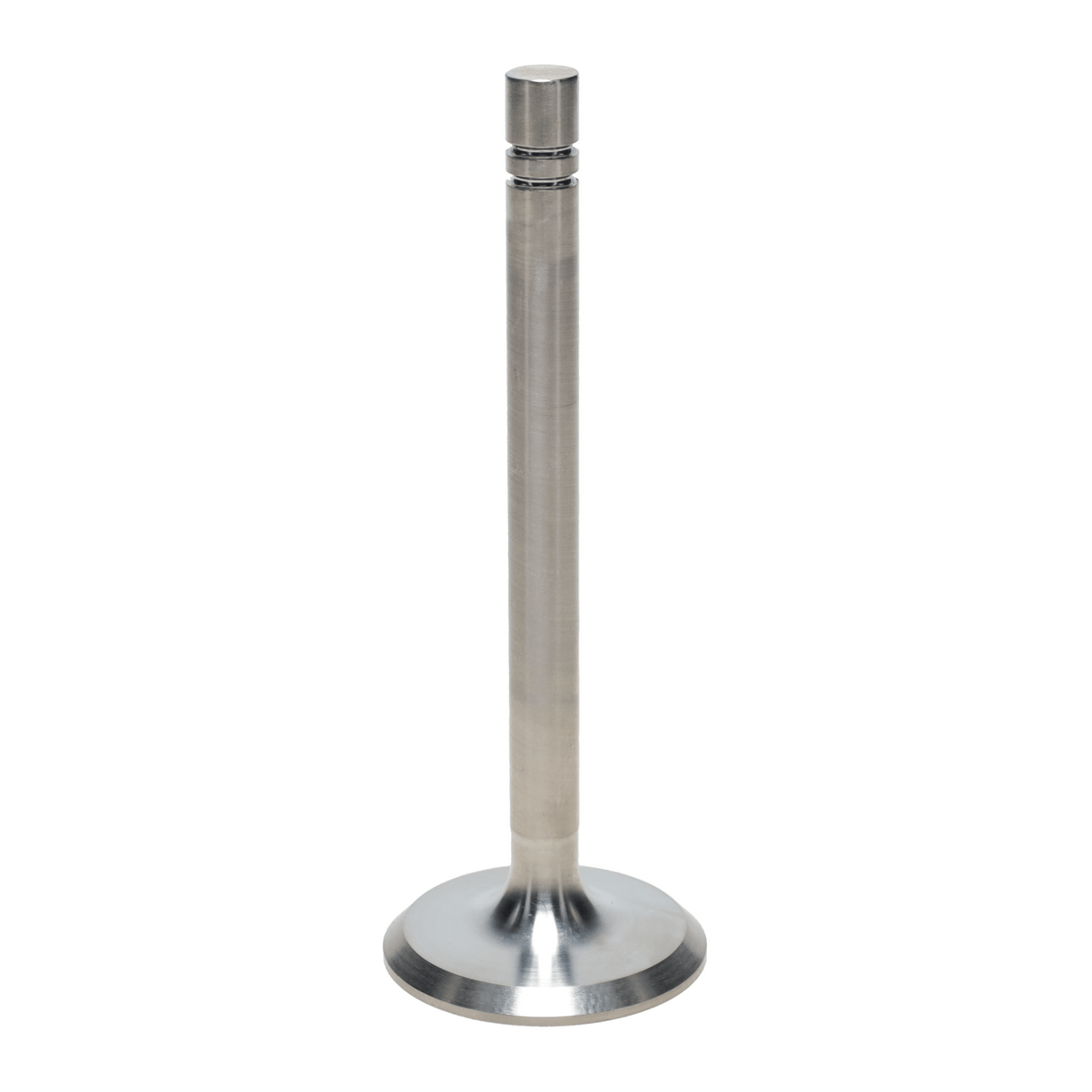 Intake Valve