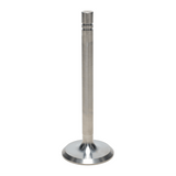 Intake Valve