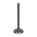 Intake Valve
