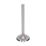 Intake Valve