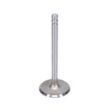 Intake Valve