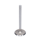 Intake Valve