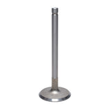 Intake Valve