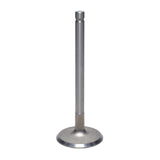 Intake Valve