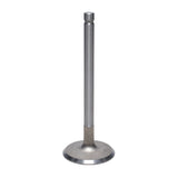 Intake Valve