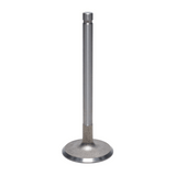 Intake Valve