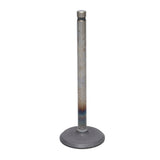 Intake Valve