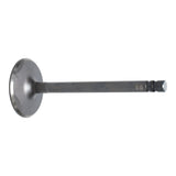 Intake Valve