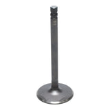 Intake Valve