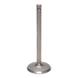 Intake Valve