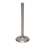 Intake Valve
