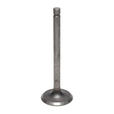 Intake Valve