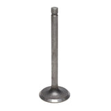 Intake Valve