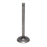 Intake Valve