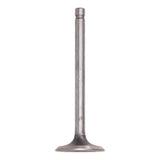 Intake Valve