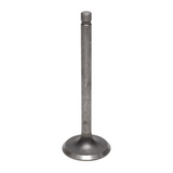 Intake Valve