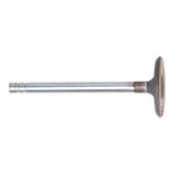 Intake Valve