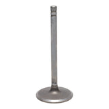 Intake Valve