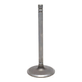 Intake Valve