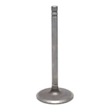 Intake Valve