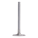 Intake Valve