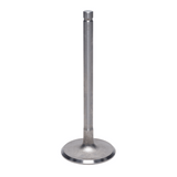 Intake Valve