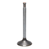 Intake Valve