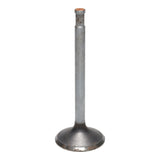 Intake Valve