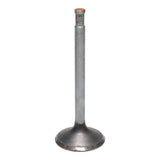 Intake Valve