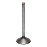 Intake Valve