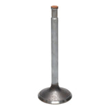Intake Valve